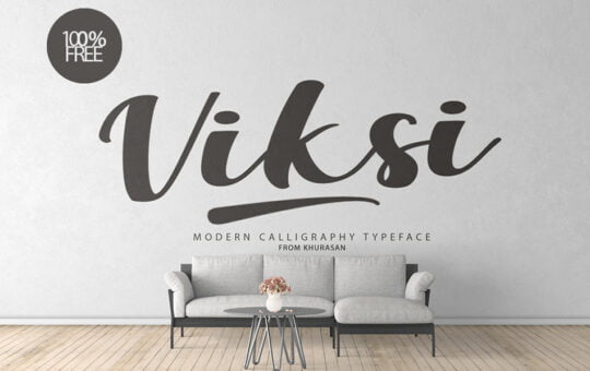 Viksi-Script-Calligraphy-Font-1.jpg