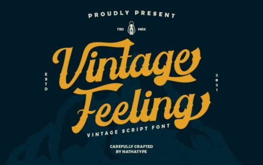 Vintage-Feeling-Vintage-Font-1.jpg