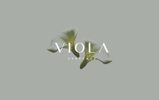 Viola-Typeface.jpg