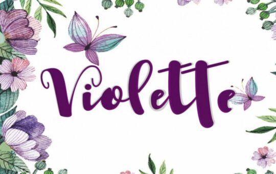 Violette-Script-Font.jpg