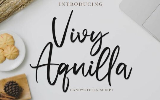 Vivy-Aquilla-Handwritten-Font-1.jpg