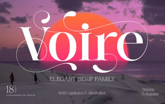Voire-Elegant-Serif-Font-Family-1.jpg