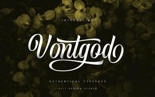 Vontgod-Modern-Script-Font-1.jpg