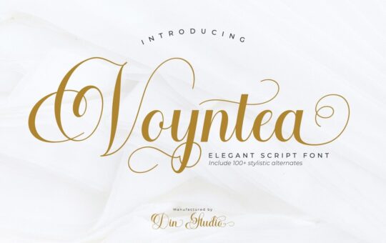 Voyntea-Elegant-Calligraphy-Script-Font-1.jpg