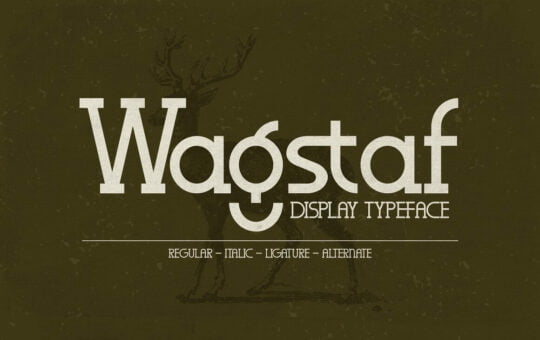 Wagstaf-Modern-Slab-Serif-Font-1.jpg