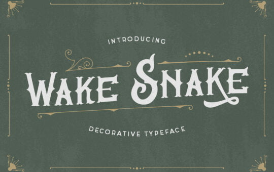 Wake-Snake-Fonts-9372885-1-1.jpg