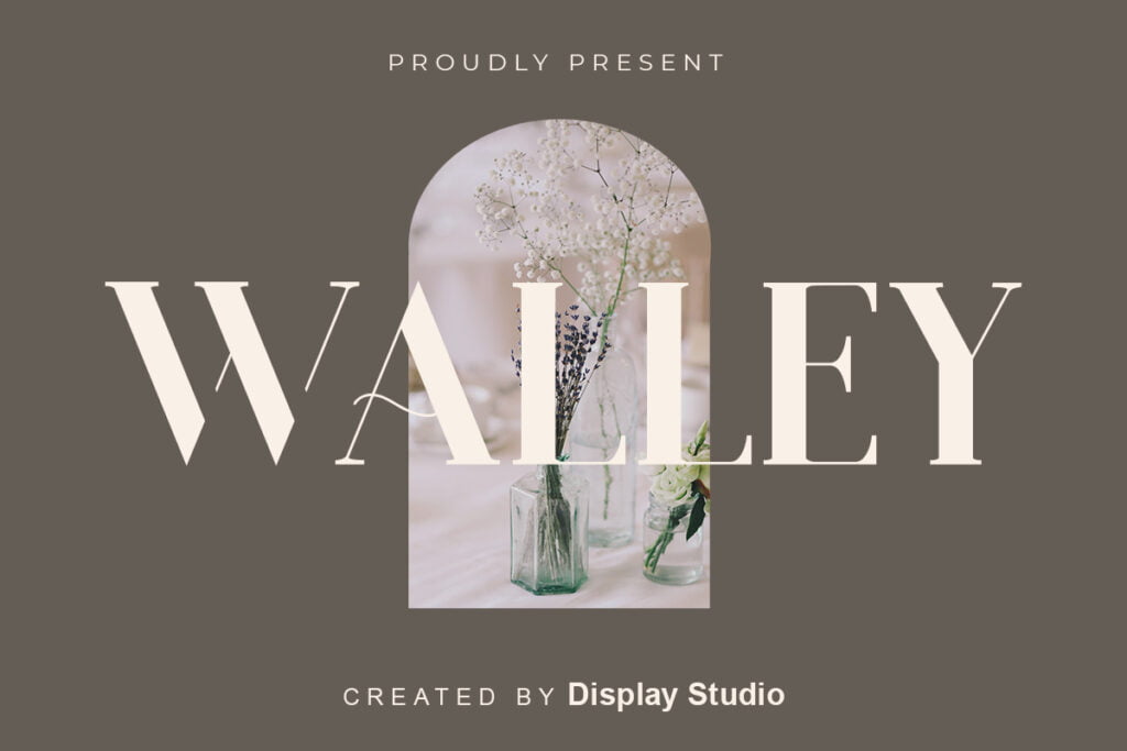 Walley-Serif-Font-1.jpg