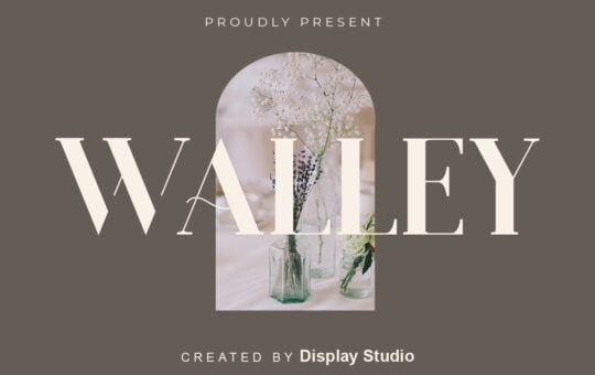 Walley-Serif-Font-1.jpg