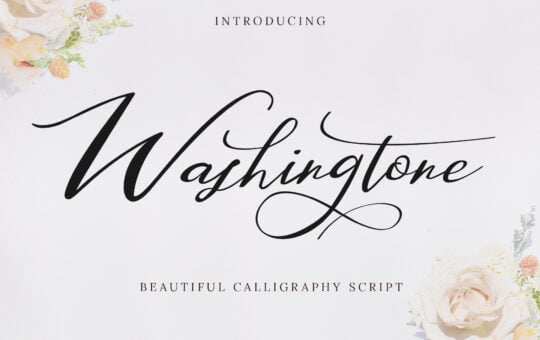 Washington-Beautiful-Calligraphy-Script-Font-1.jpg