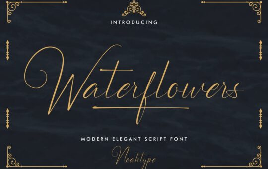 Waterflowers-Calligraphy-Script-Font-1.jpg