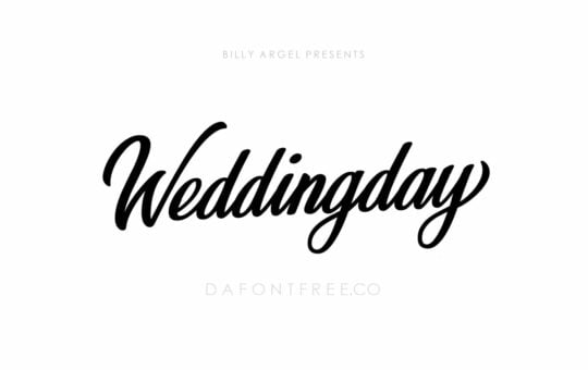 Weddingday-Calligraphy-Font-1.jpg