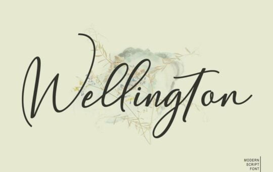 Wellington-Font.jpg