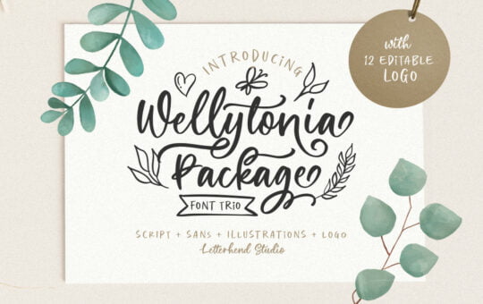 Wellytonia-Package-Script-Font-1.jpg