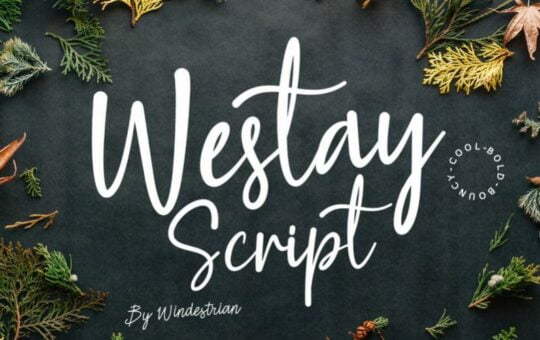 Westay-Bold-Script-Font-1.jpg