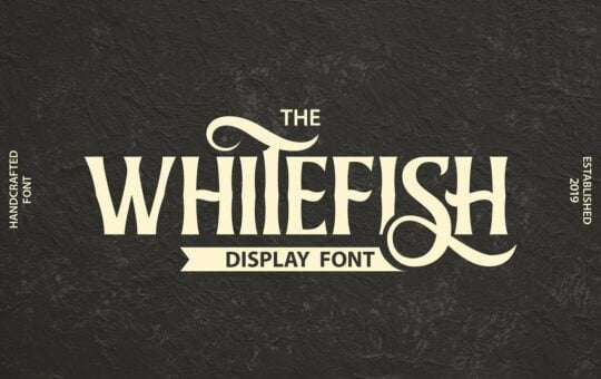 Whitefish-Serif-Display-Font-1.jpg
