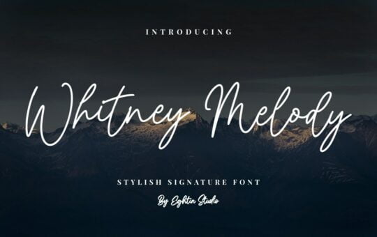Whitney-Melody-Stylish-Signature-Font-1.jpg