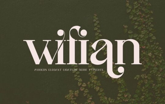 Wifian-Font.jpg