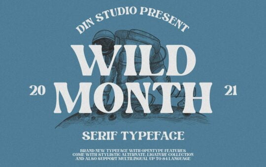 Wild-Month-Serif-Font-1.jpg