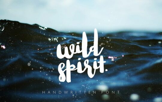 Wild-Spirit-Font.jpg