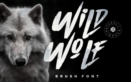 Wild-Wolf-Script-Brush-Font-1.jpg