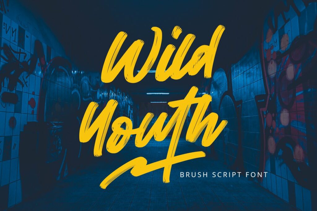 Wild-Youth-Brush-Script-Font-1.jpg