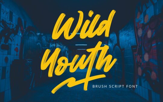 Wild-Youth-Brush-Script-Font-1.jpg