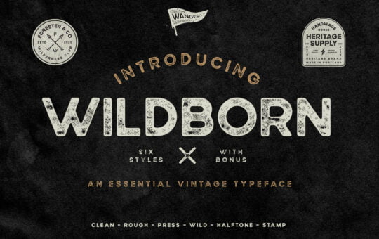 Wildborn-Vintage-Typeface-1.jpg
