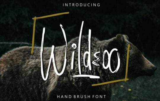 Wildeoo-Hand-Brush-1.jpg