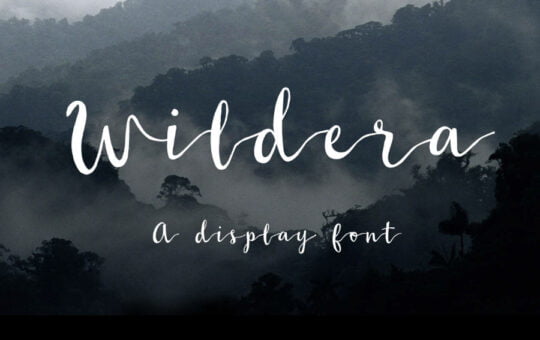 Wildera-Script-Free-Typeface-prev01.jpg