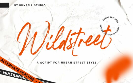 Wildstreet-Script-Bonus-Font-1.jpg
