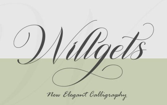 Willgets-Font-1.jpg