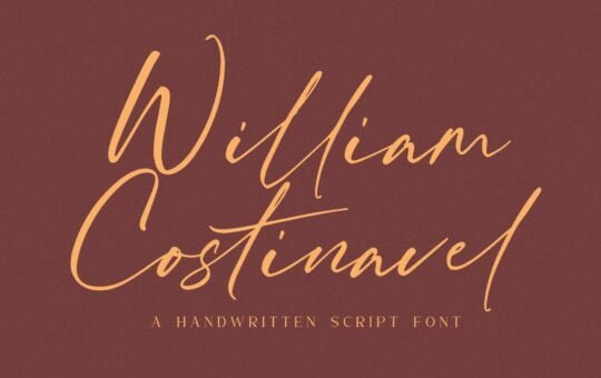 William-Costinavel-Handwritten-Script-Font-1.jpg
