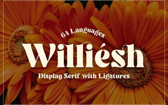 Williesh-Font.jpg