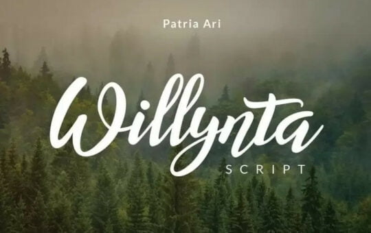 Willynta-Script-Calligraphy-Font-1.jpg
