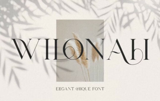 Wilonah-Elegant-Serif-Font-1.jpg