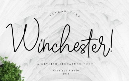 Winchester-Preview-1.jpg
