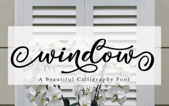 Window-Font-1.jpg