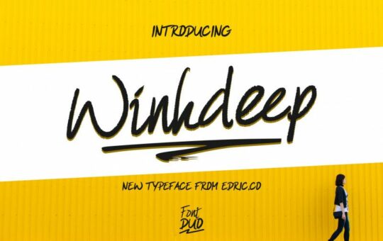 WinkDeep-Script-Font-Duo.jpg