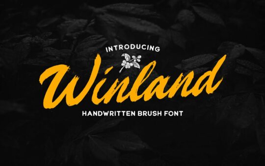 Winland-Handwritten-Brush-Font-1.jpg