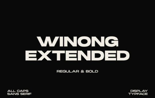 Winong-Extended-Sans-Serif-Font-1.jpg