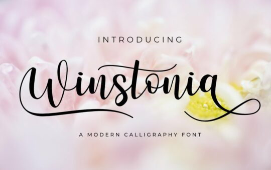 Winstonia-Modern-Calligraphy-Script-Font-1.jpg