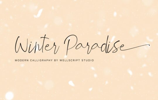 Winter-Paradise-Modern-Script-Font-1.jpg
