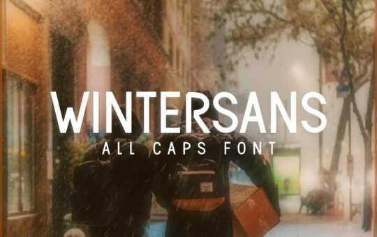 Wintersans-Font-1.jpg