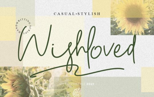 Wishloved-Handwritten-Script-Font-1.jpg