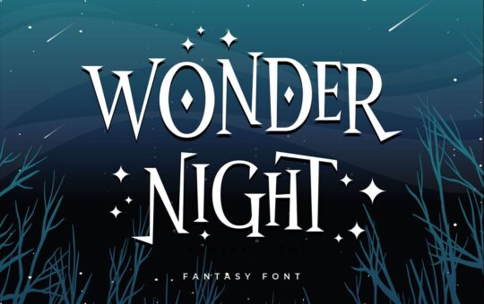 Wonder-Night-Display-Font-1.jpg