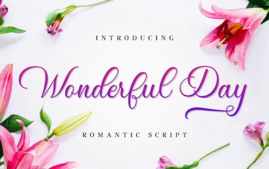 Wonderful-Day-Romantic-Calligraphy-Script-Font-1.jpg