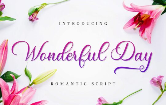 Wonderful-Day-Romantic-Calligraphy-Script-Font.jpg