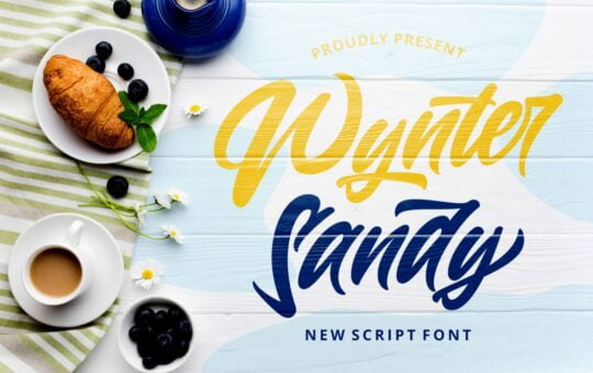 Wynter-Sandy-Bold-Script-Font-1.jpg