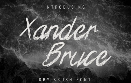 Xander-Bruce-Brush-Font-1.jpg