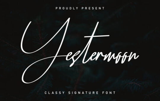 Yestermoon-Calligraphy-Script-Font-1.jpg